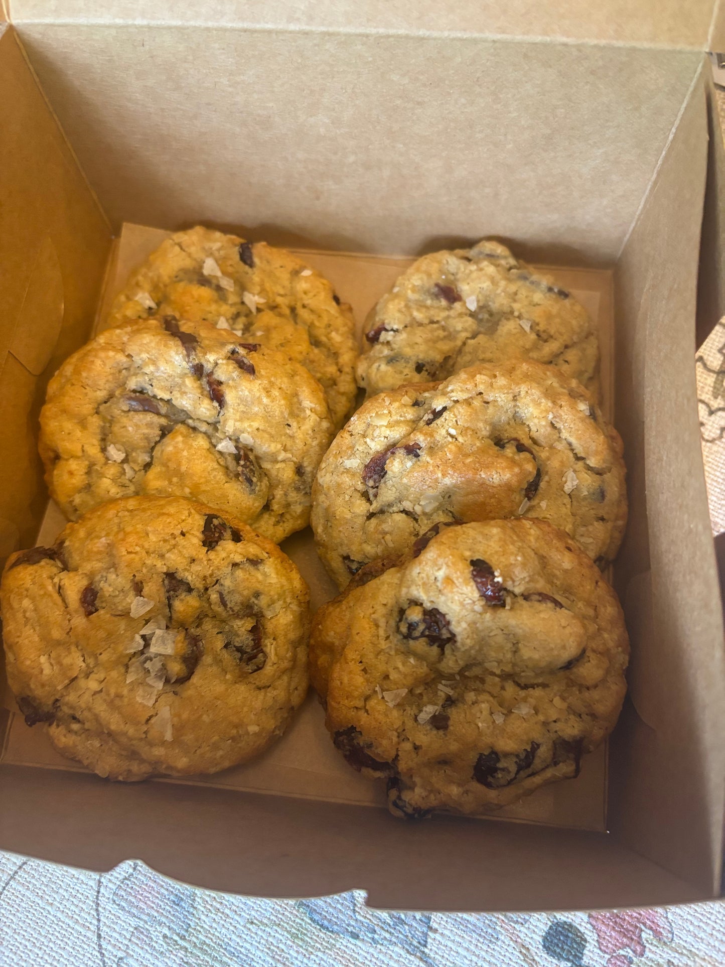 BAKERY Dark Chocolate Cranberry Oatmeal Sea Salt - 6 Pack Box